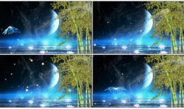 月光爆料最新视频下载,精彩瞬间不容错过！